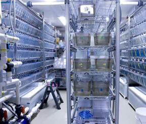 動(dòng)物實(shí)驗(yàn)室檢測